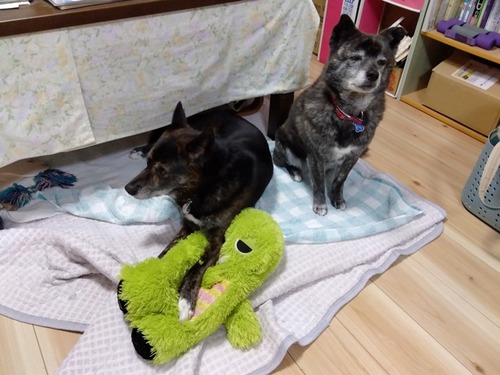 IMG_2024-05-25-10-54-26-712w