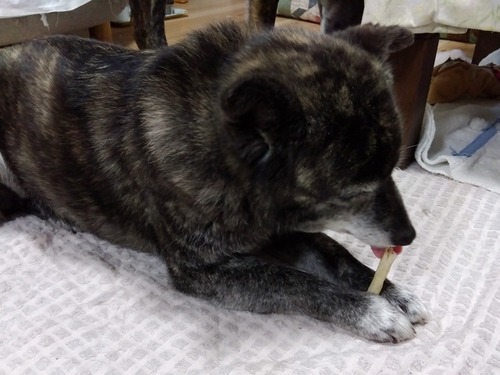 IMG_2025-06-05-11-37-06-094s