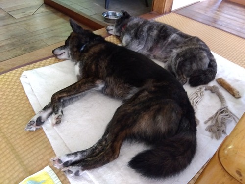 IMG_2025-07-27-16-45-55-853s