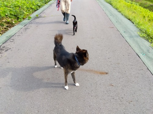 IMG_2024-08-24-07-54-38-758_780