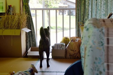 DSC_0039_20150517_401