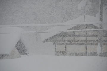 DSC_7946_20150210_3063-