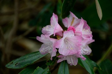 DSC_9828_20150512_358