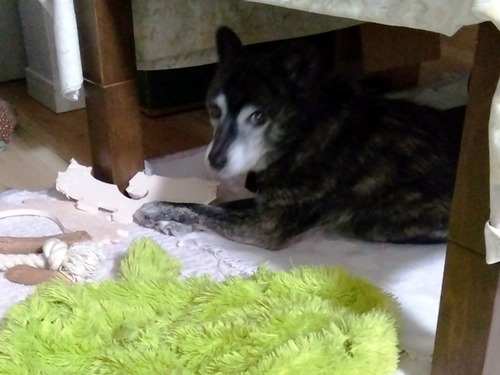 IMG_2025-10-18-20-03-48-258s