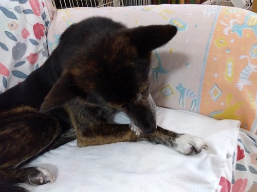 IMG_2024-12-01-13-06-22-414s