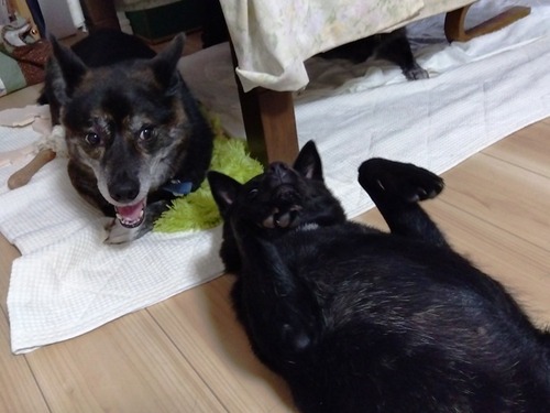 IMG_2025-09-08-15-33-28-903s