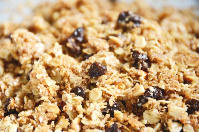 ふすまのグラノーラ 甲斐犬ケータを探して