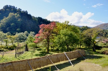 DSC_2069_20151017_645