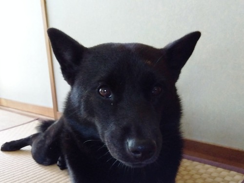 IMG_2025-07-28-08-23-31-047s