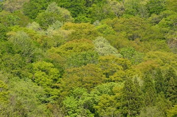 DSC_0015_20150513_328