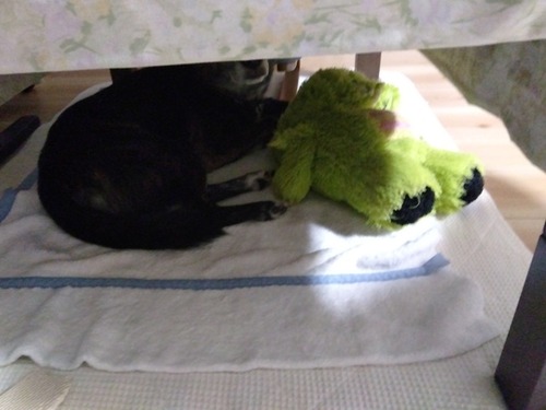 IMG_2024-11-07-21-21-59-462