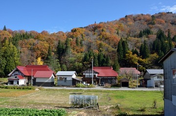 DSC_7303_20141106_2753-