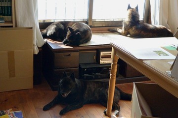 DSC_3175_20160219_1091