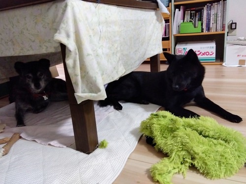 IMG_2025-09-07-11-47-27-791s