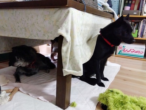 IMG_2025-09-07-11-46-53-976s