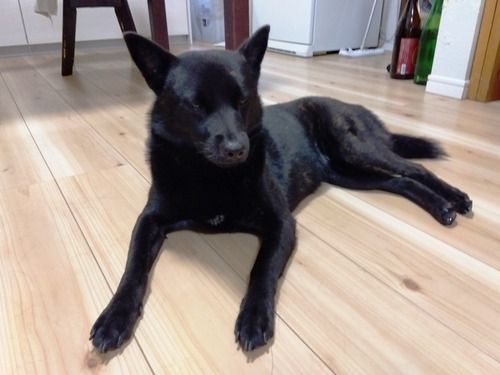 IMG_2025-07-18-08-54-37-792s