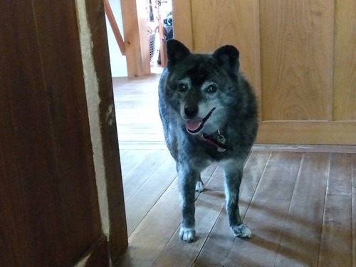 IMG_2025-07-28-08-23-09-829s