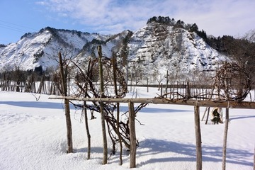 DSC_3172_20160219_1085