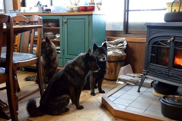 DSC_2666_20151227_909