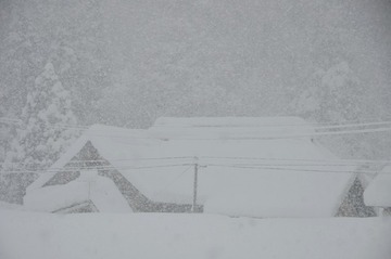 DSC_7942_20150210_3064-