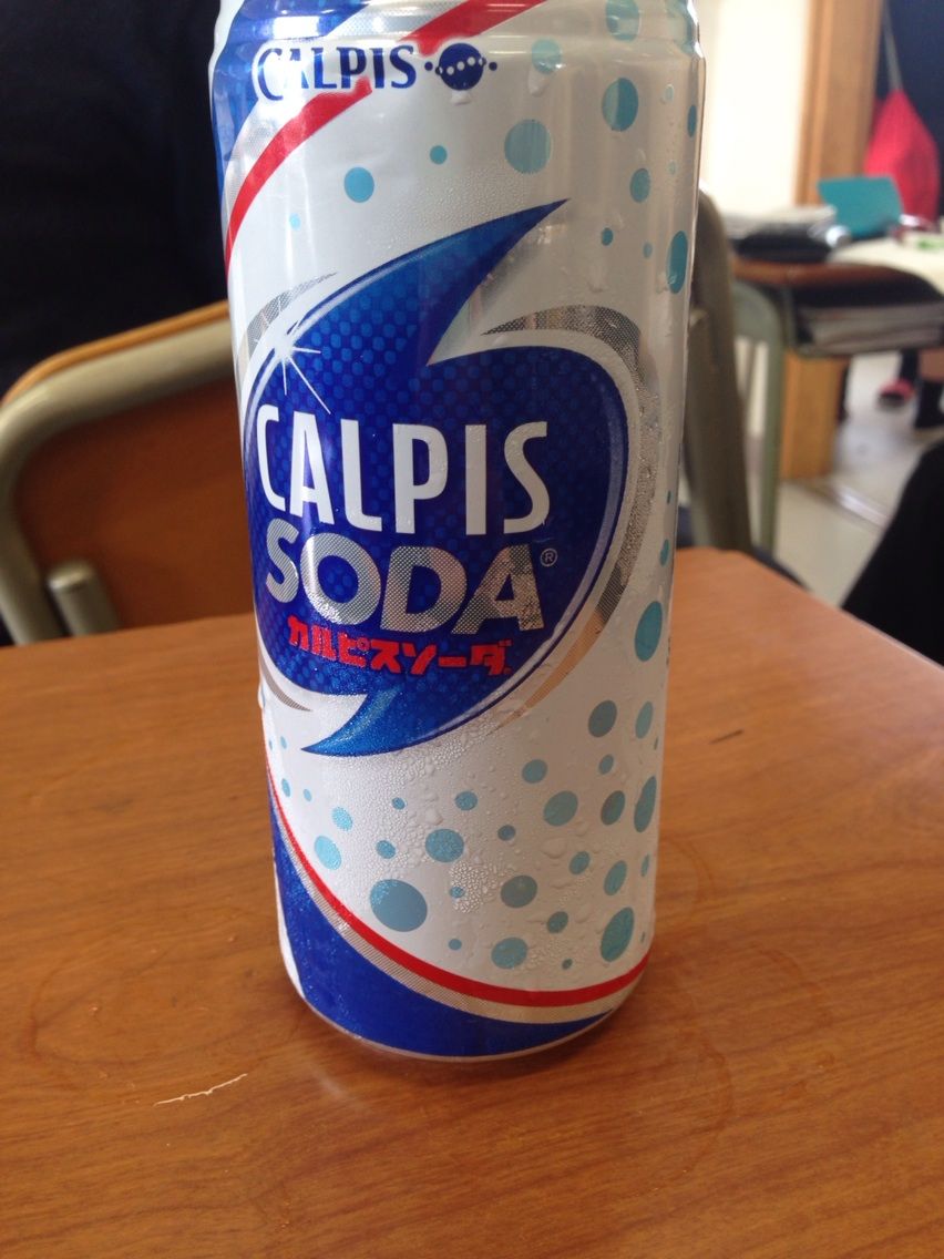 スタンダードな高校生の筆箱を使うと 1日目 2日目報告 おちびの文房具日誌