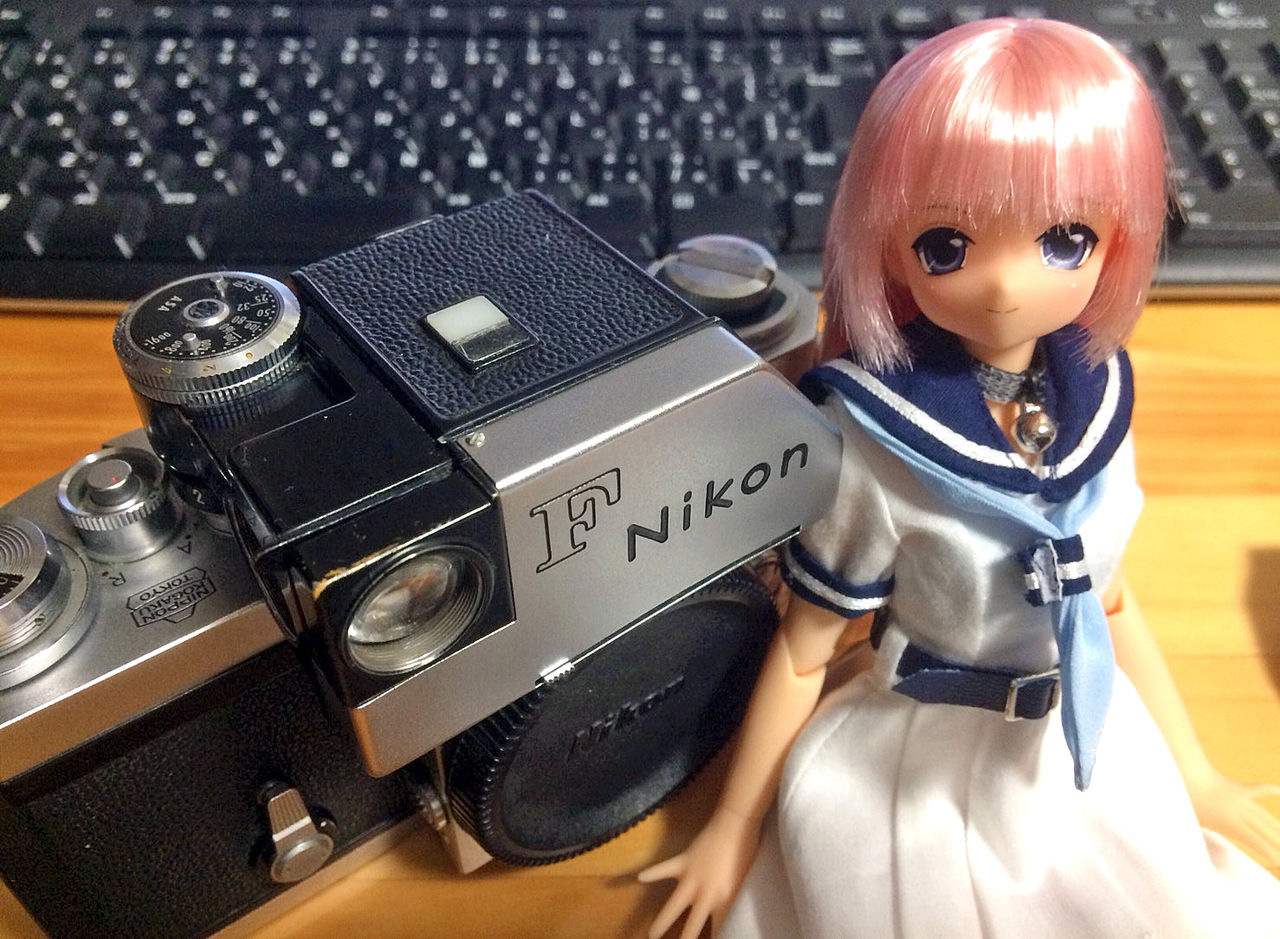 Nikon F フォトミック　レンズ3本 紅葉とNikon Fフォトミック : 休日の探し方