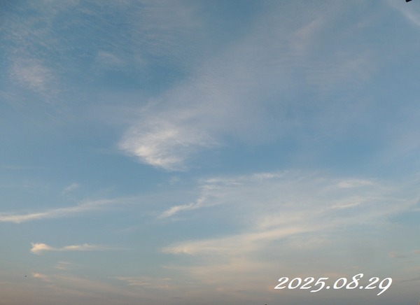 ��2025.08.29��0003
