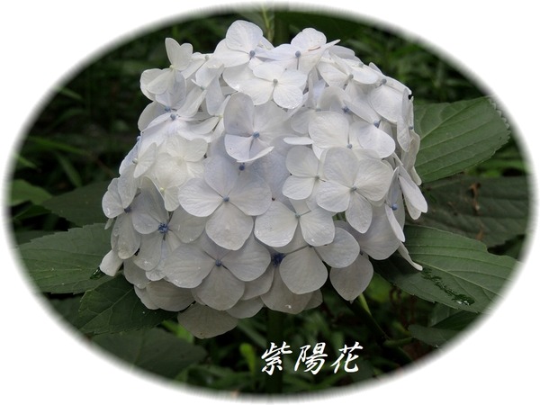 @»çÍÛ²Ö-0017