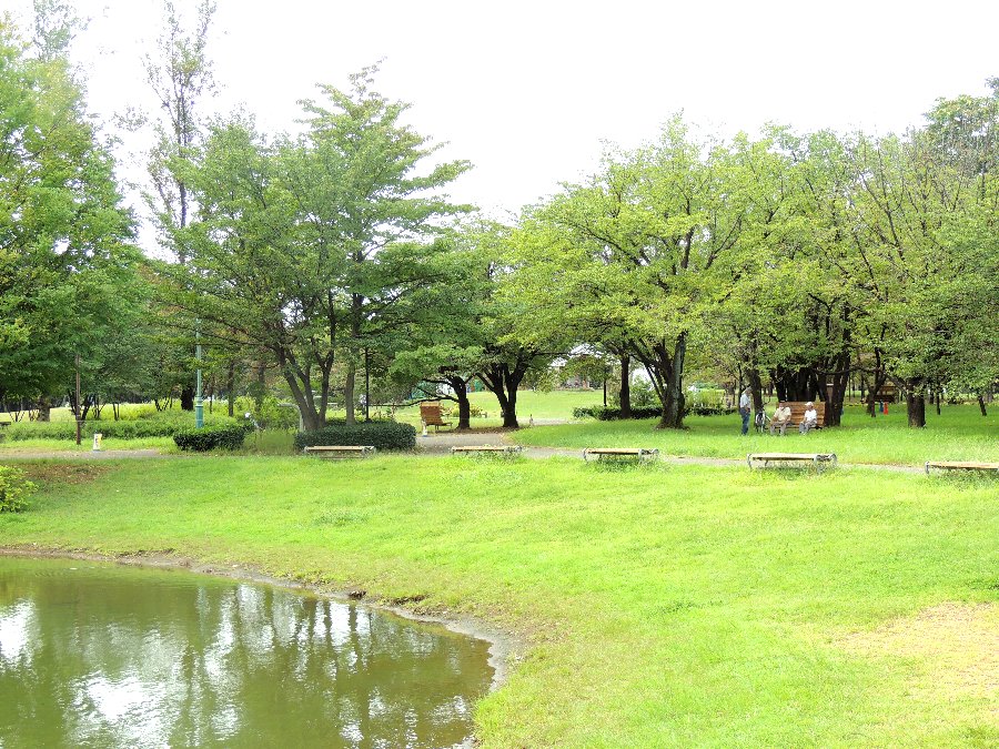 人工池のある公園へ かえで のデジブラ日記 人工池のある公園へ かえで のデジブラ日記