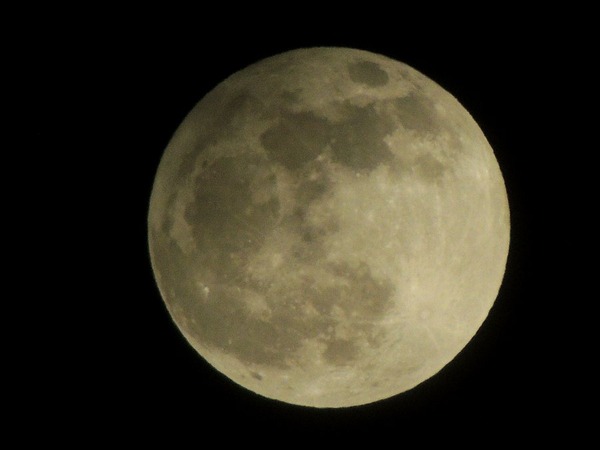 @2020.11.30-Beaver Moon-9995