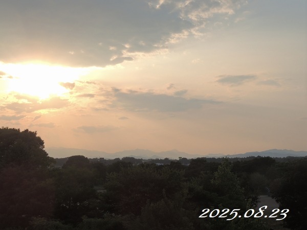 ��2025.08.23��9994