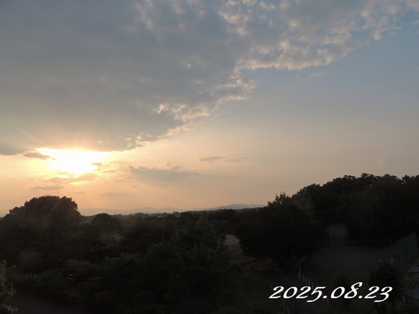 ��2025.08.23��9997