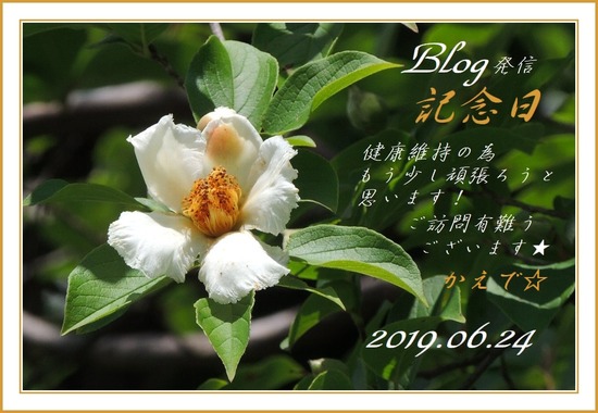 @2019.06.24-3470