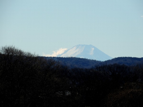 @2021.01.01-0009