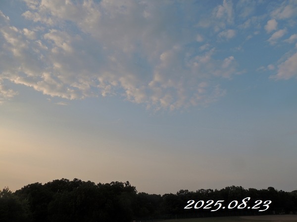 ��2025.08.23��9996