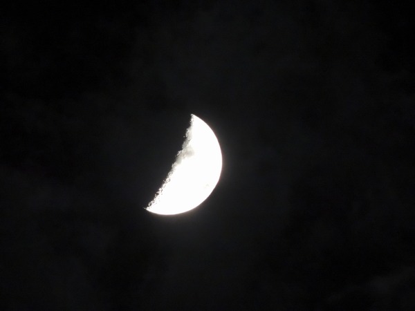 ��2025.09.29-9994