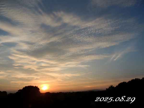��2025.08.29��0001
