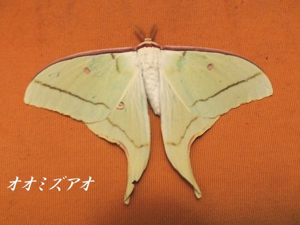 ��2025.08.25��9998