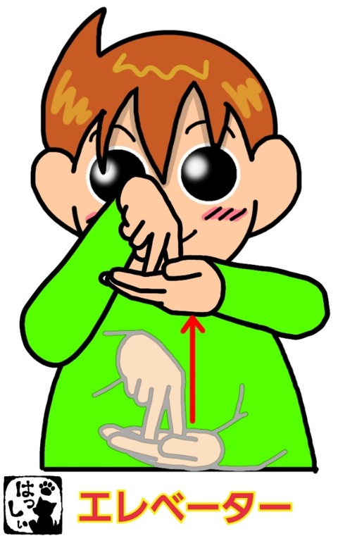 19-10-04-14-48-51-032_deco