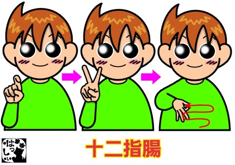 26-01-13-13-27-15-519_deco