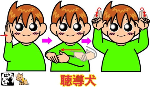 25-10-02-08-17-24-680_deco