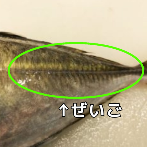無題357