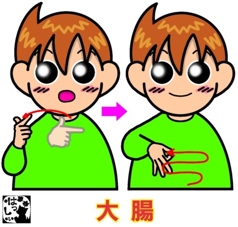 26-01-14-08-26-25-877_deco