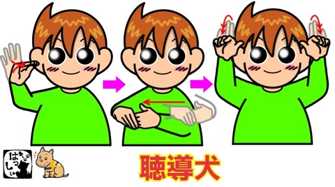 25-10-02-08-16-50-681_deco