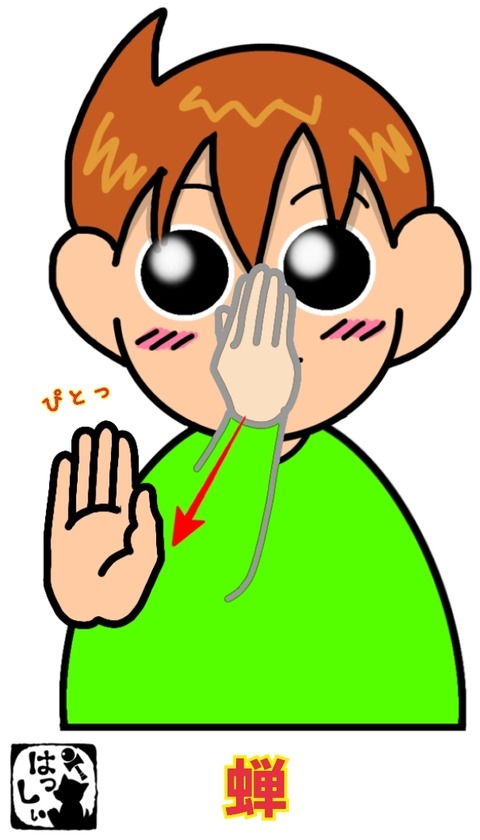 24-07-26-13-32-48-312_deco