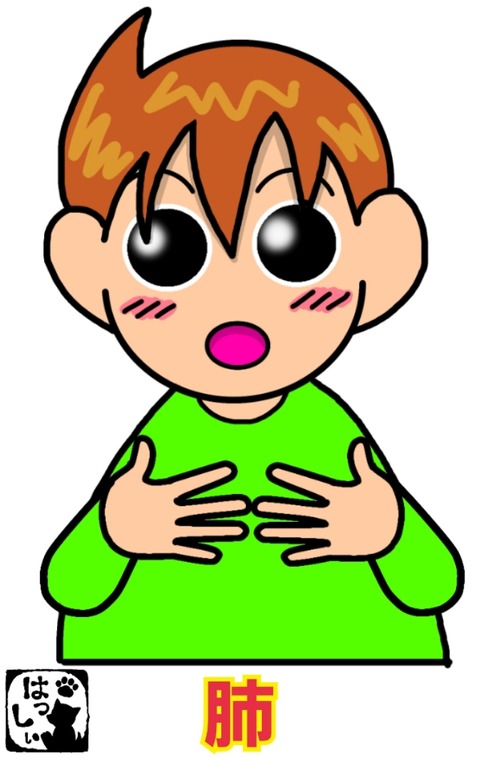 18-11-06-13-27-07-702_deco