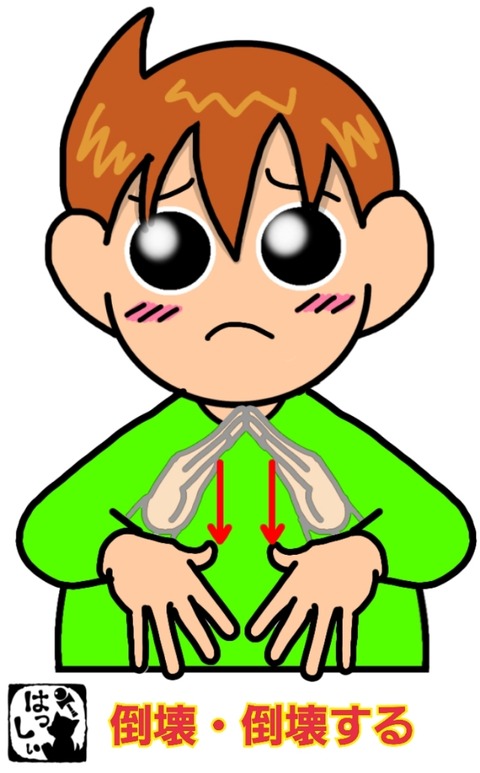 25-01-05-11-59-13-716_deco