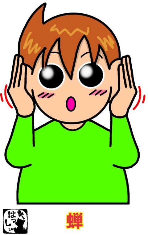 24-07-26-13-27-06-327_deco