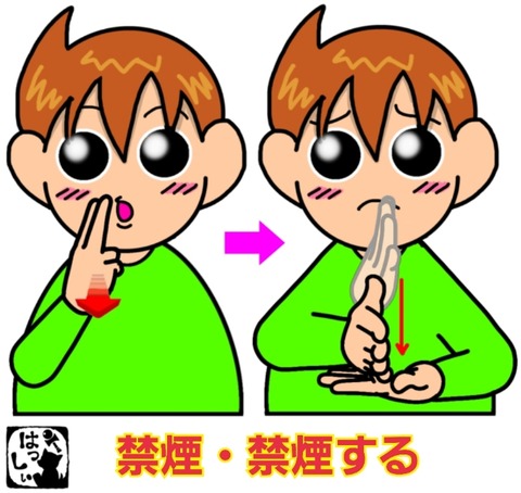 24-06-18-14-29-17-252_deco