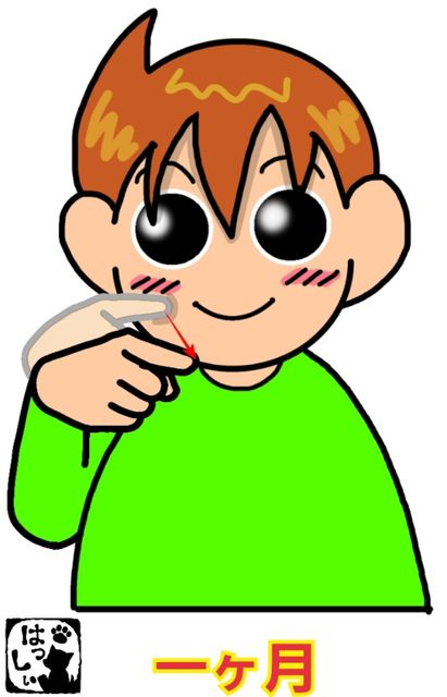 手話単語 ９９５ 一ヶ月 手話しゅわshushushu